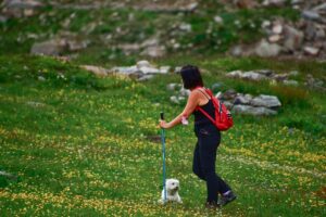 Nordic Walking, besten Sportarten für Senioren im Sommer